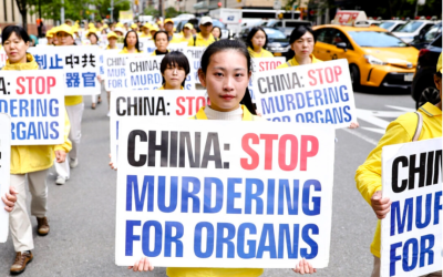 Senators Call for Action Against CCP’s ‘Alibaba of Organs’